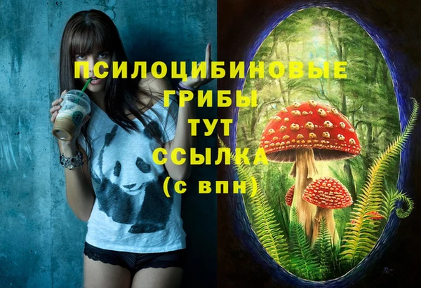 MDMA Пролетарск