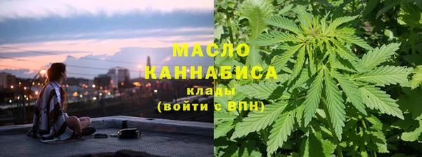 амф Протвино