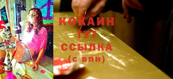 амф Протвино