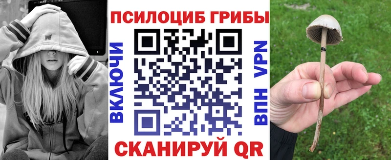 Псилоцибиновые грибы Cubensis  Купить закладки  Апатиты 